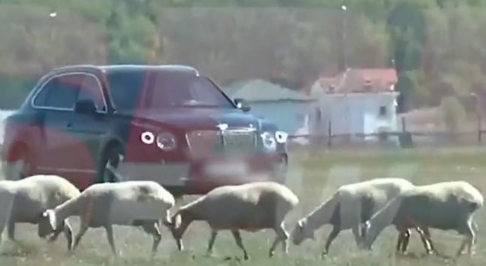Gigi Becali, imagini spectaculoase! A ieșit cu bolidul de 200.000 de euro să vadă oile la păscut, în plină pandemie