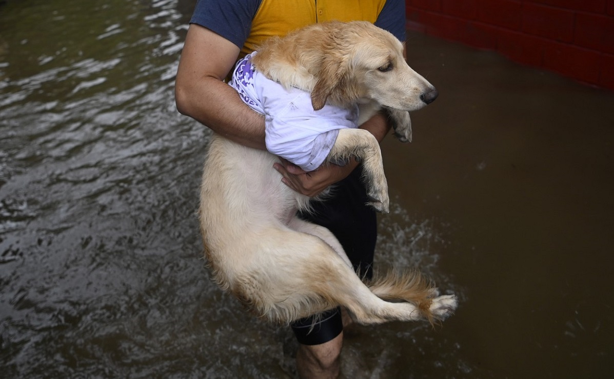 O femeie a murit după ce a sărit în apă ca să îşi salveze câinele. Animalul a ajuns nevătămat la ţărm!
