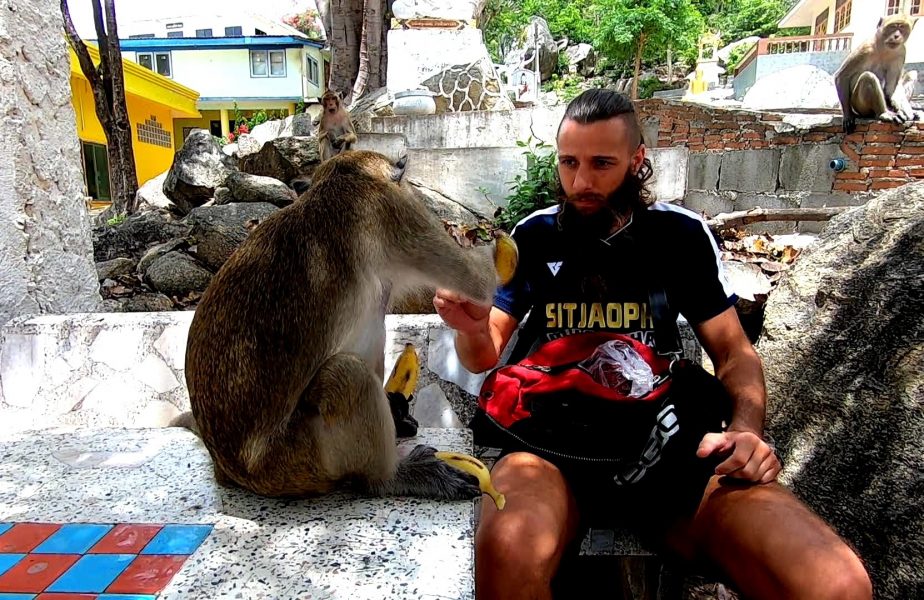 EXCLUSIV | Un român se antrenează cu maimuţele ca să-şi facă KO adversarii. Poveste de viaţă incredibilă!