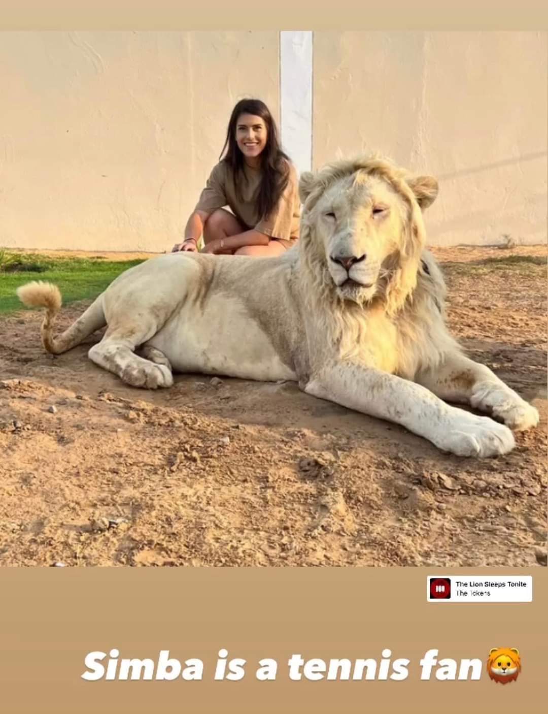 Sorana Cîrstea, fără frică! Jucătoarea noastră s-a pozat lângă un leu