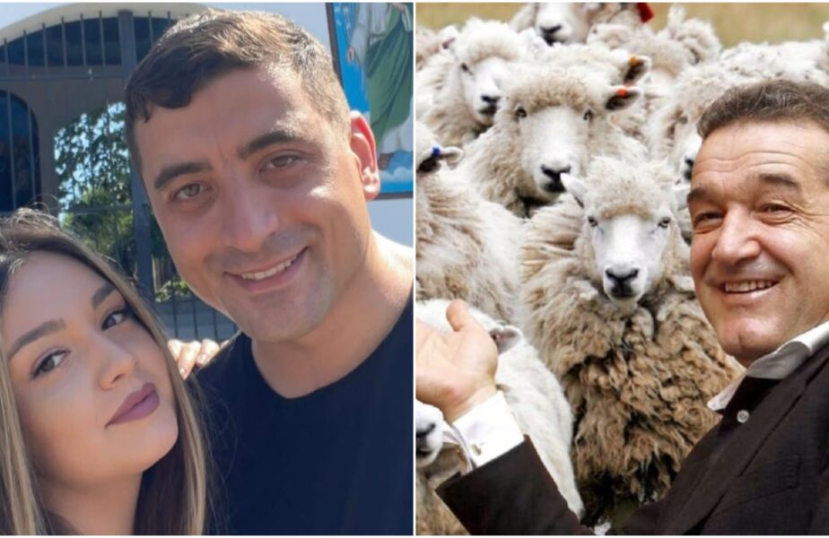 Ce fel de brânză îi trimite Gigi Becali lui George Simion înainte de nuntă: „Trebuie să mulgi 10.000 de oi pentru asta!”