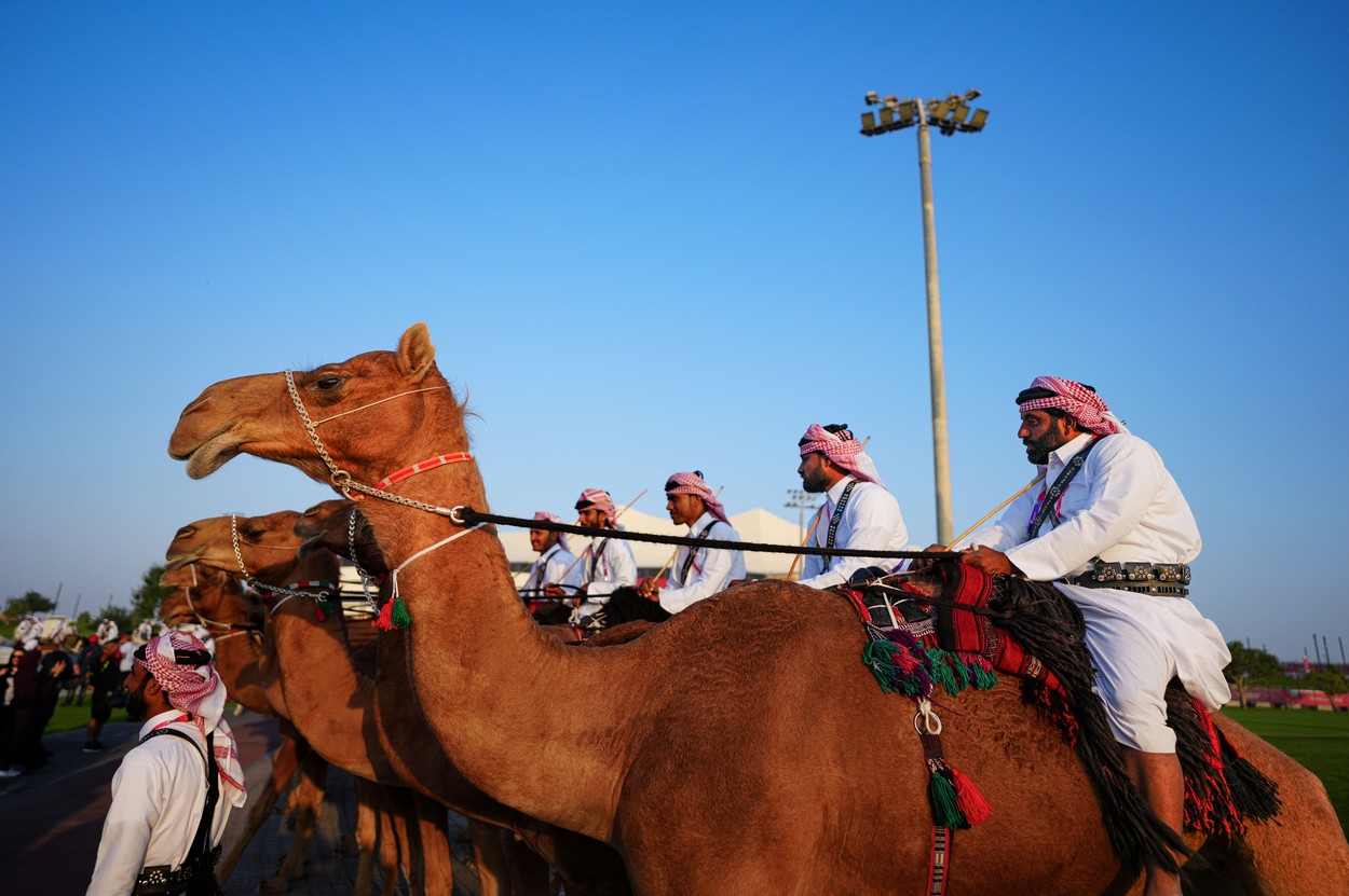 Camels outside of the Al Bayt Stadium
Qatar v Ecuador, FIFA World Cup 2022, Group A, Football, Al Bayt Stadium, Al Khor, Qatar - 20 Nov 2022,Image: 738877693, License: Rights-managed, Restrictions: Editorial Use Only, Model Release: no
