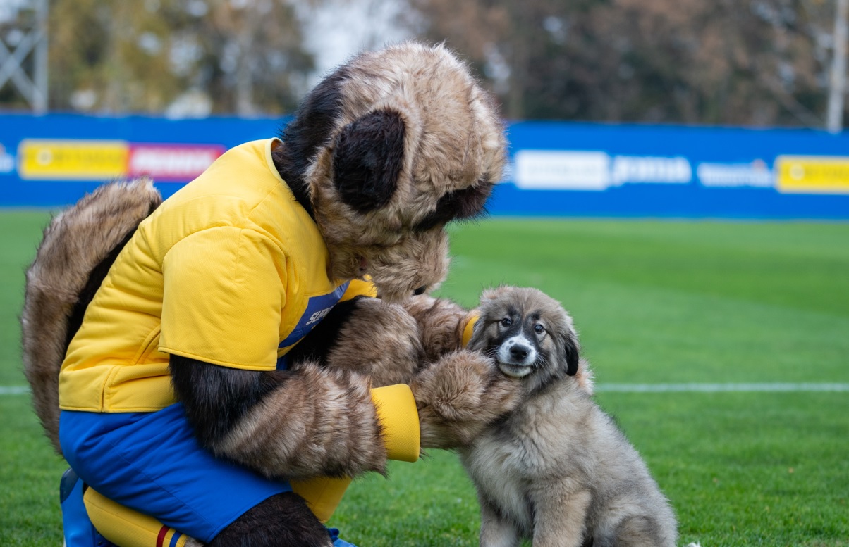RONNY, mascota care susține naţionalele de fotbal ale României 