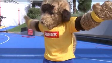 Mascota Ronny i-a îndemnat pe fanii naţionalei să se îmbrace în galben la meciurile cu Israel şi Kosovo