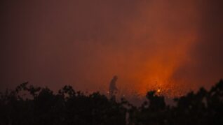 Oficialii din Liga Portugal, gest superb după incendiile de vegetație care au devastat țara! Ce vor face lusitanii