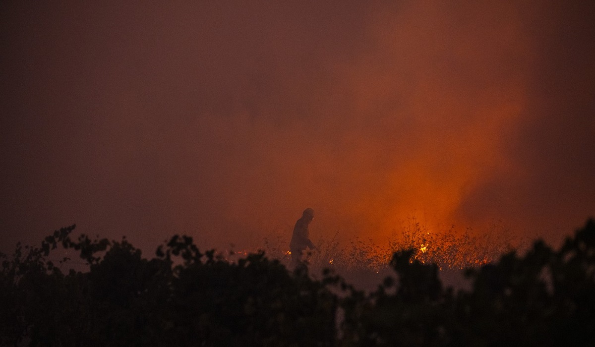 Oficialii din Liga Portugal, gest superb după incendiile de vegetație care au devastat țara! Ce vor face lusitanii