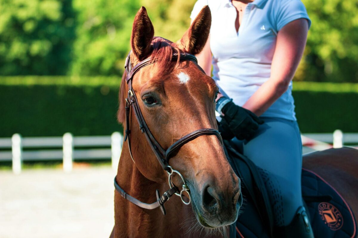 (P) Grație și eleganță în sport – echitația