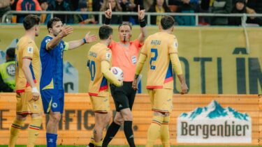 Adevăratul motiv pentru care România nu ar fi primit penalty în meciul cu Bosnia. Verdictul specialistului după cea mai controversată fază